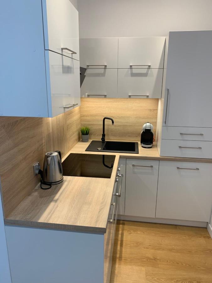 Apartament Tarsis Superior コウォブジェク エクステリア 写真