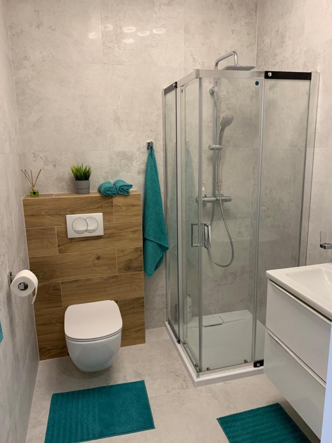 Apartament Tarsis Superior コウォブジェク エクステリア 写真